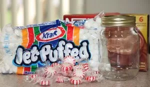 DIY Peppermint Hot Cocoa Ingredients