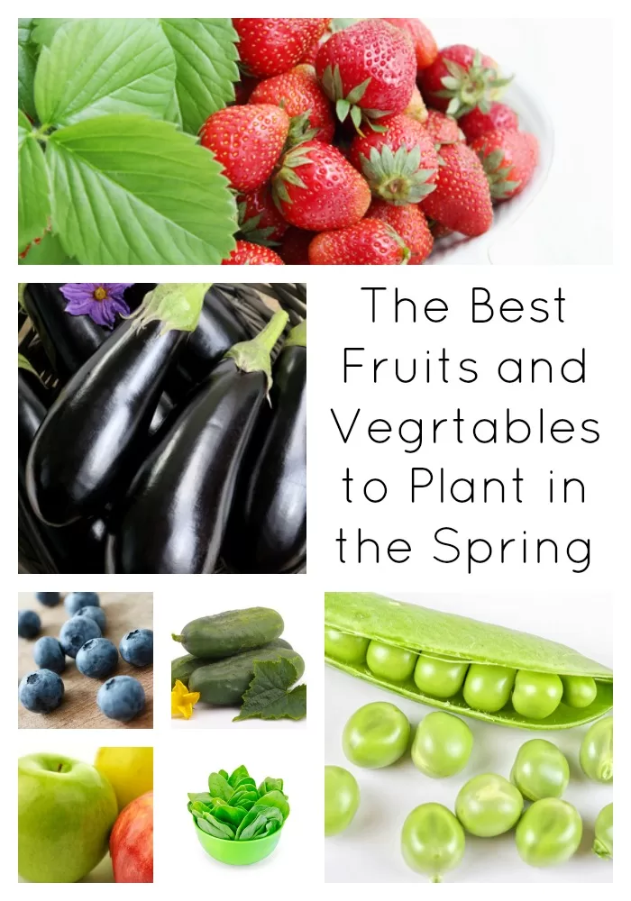 Fruits and Vegetables to Plant in the Springg