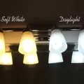 Soft White vs Daylight Light Bulbs