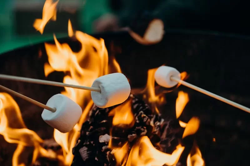 Campfire Roast Marshmellows with Kids