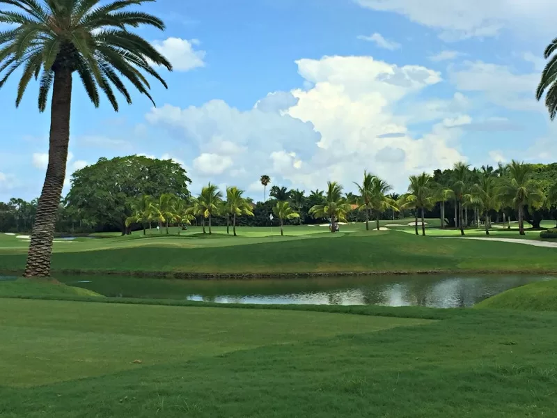 Golf Course at Trump National Doral
