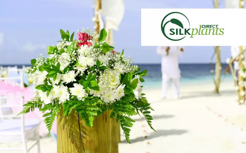 Silk Plants Direct Review