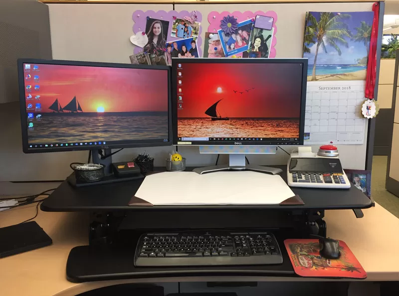 standing desk converter review flexispot