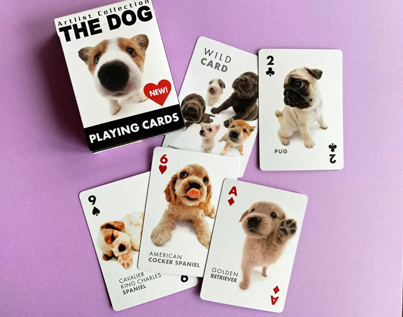 The Dog playing cards