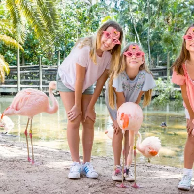 Behind-the-Scenes Animal Experiences Return to Palm Beach Zoo