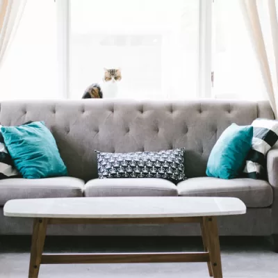 Luxury Living: Elegant Sofa Decor Ideas for Every Home